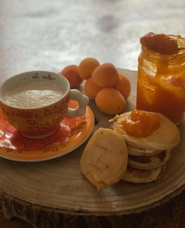 Bed and Breakfast Il Casale Di Punta Prosciutto Zewnętrze zdjęcie